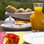 Alojamento de Turismo Rural Monte Do Alamo -