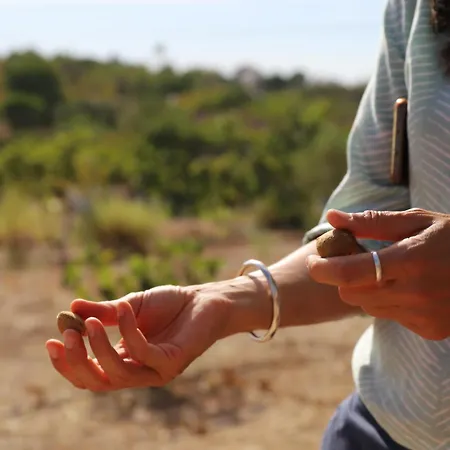 Monte Do Alamo - Agroturismo