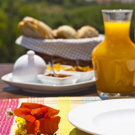 Agroturismo Monte Do Alamo -