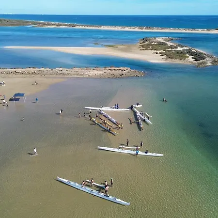 ファームステイ Monte Do Alamo - *