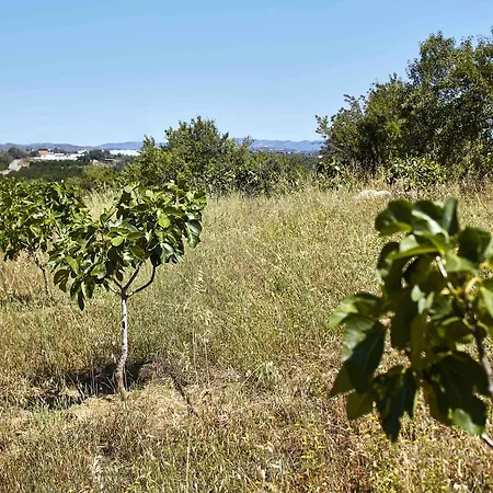 Agroturismo Monte Do Alamo -