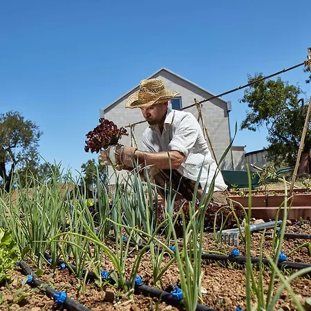 Monte Do Alamo - Agroturismo *