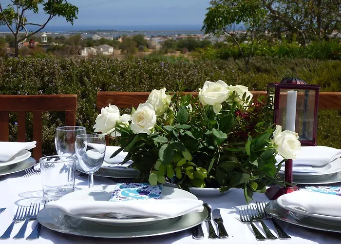 ファームステイ Monte Do Alamo -