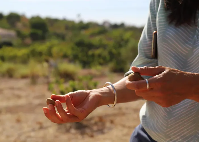 Monte Do Alamo - ファームステイ