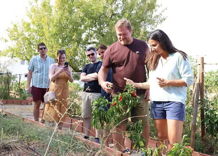 ファームステイ Monte Do Alamo - タヴィラ