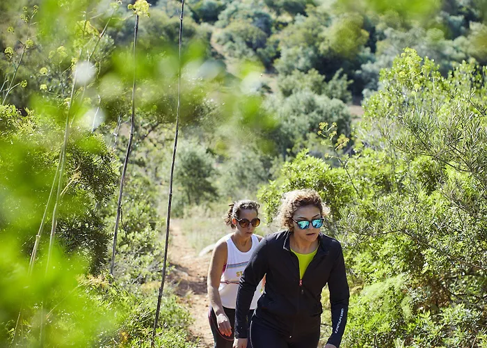 ファームステイ Monte Do Alamo -