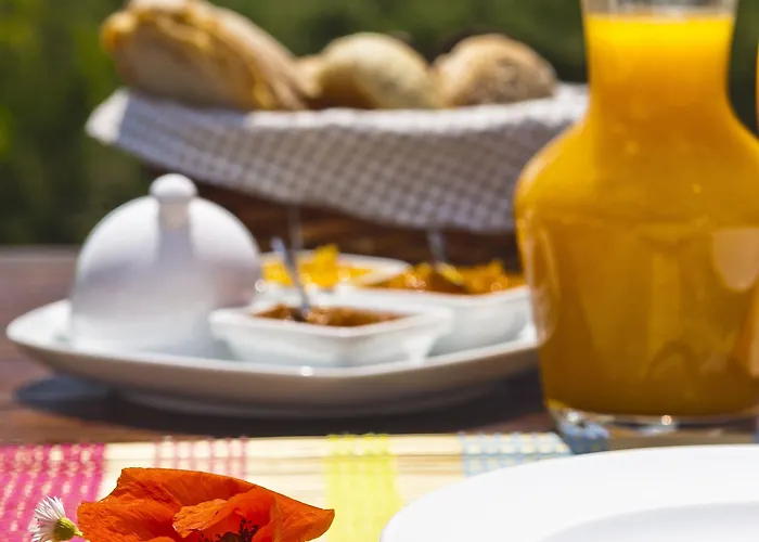 ファームステイ Monte Do Alamo -