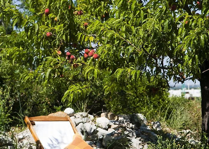 Monte Do Alamo - * タヴィラ