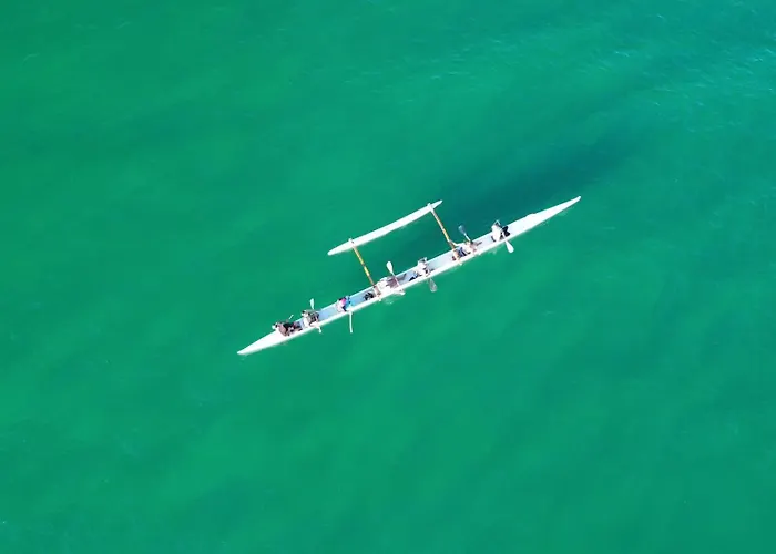 ファームステイ Monte Do Alamo - *