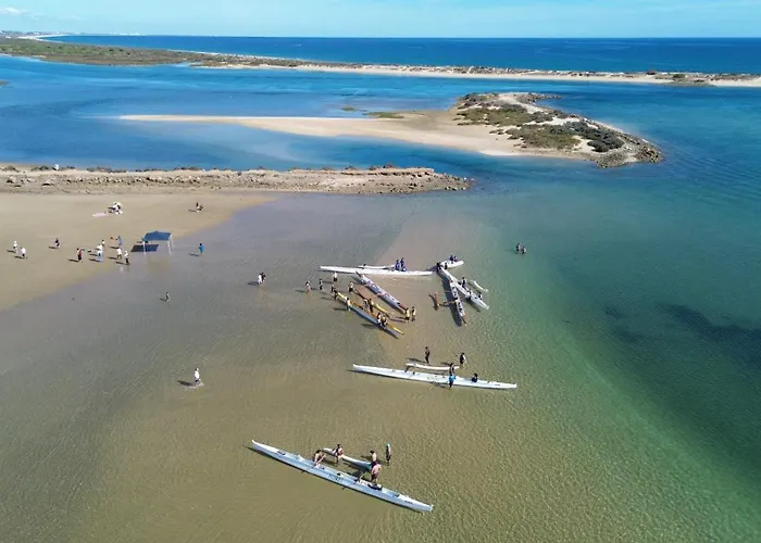 ファームステイ Monte Do Alamo - *