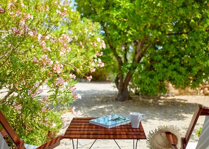 ファームステイ Monte Do Alamo -