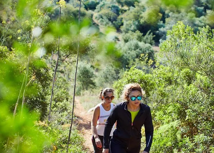 ファームステイ Monte Do Alamo - *