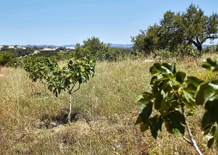 ファームステイ Monte Do Alamo -