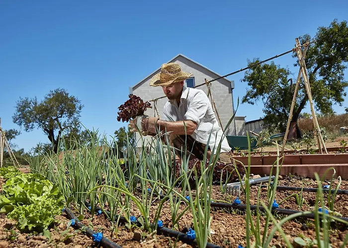 Monte Do Alamo - ファームステイ *