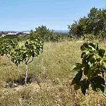 Bauernhof Monte Do Alamo -
