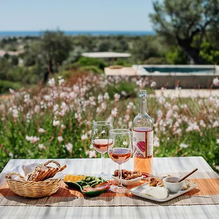 Monte Do Alamo - Κατάλυμα σε φάρμα Ταβίρα