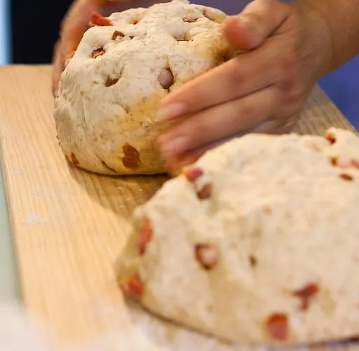 Monte Do Alamo - Alloggio per agriturismo Tavira